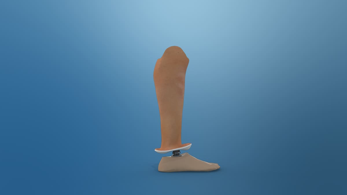 Rendu 3D — Aqualeg / Tech4art — 14